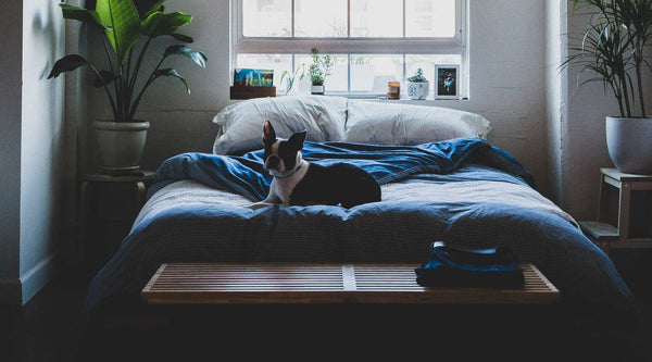 5 Steps to Redesign Your Bedroom